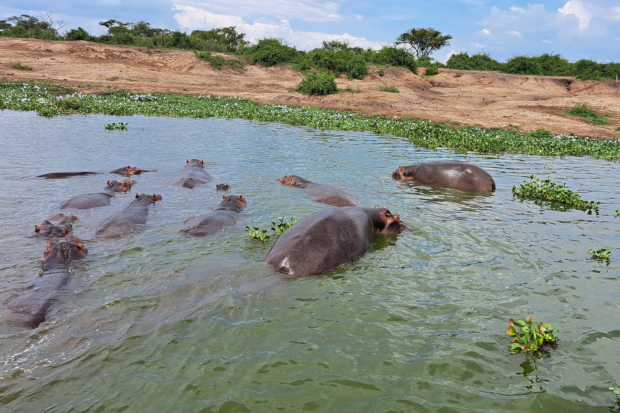 What a Game Drive Feels Like