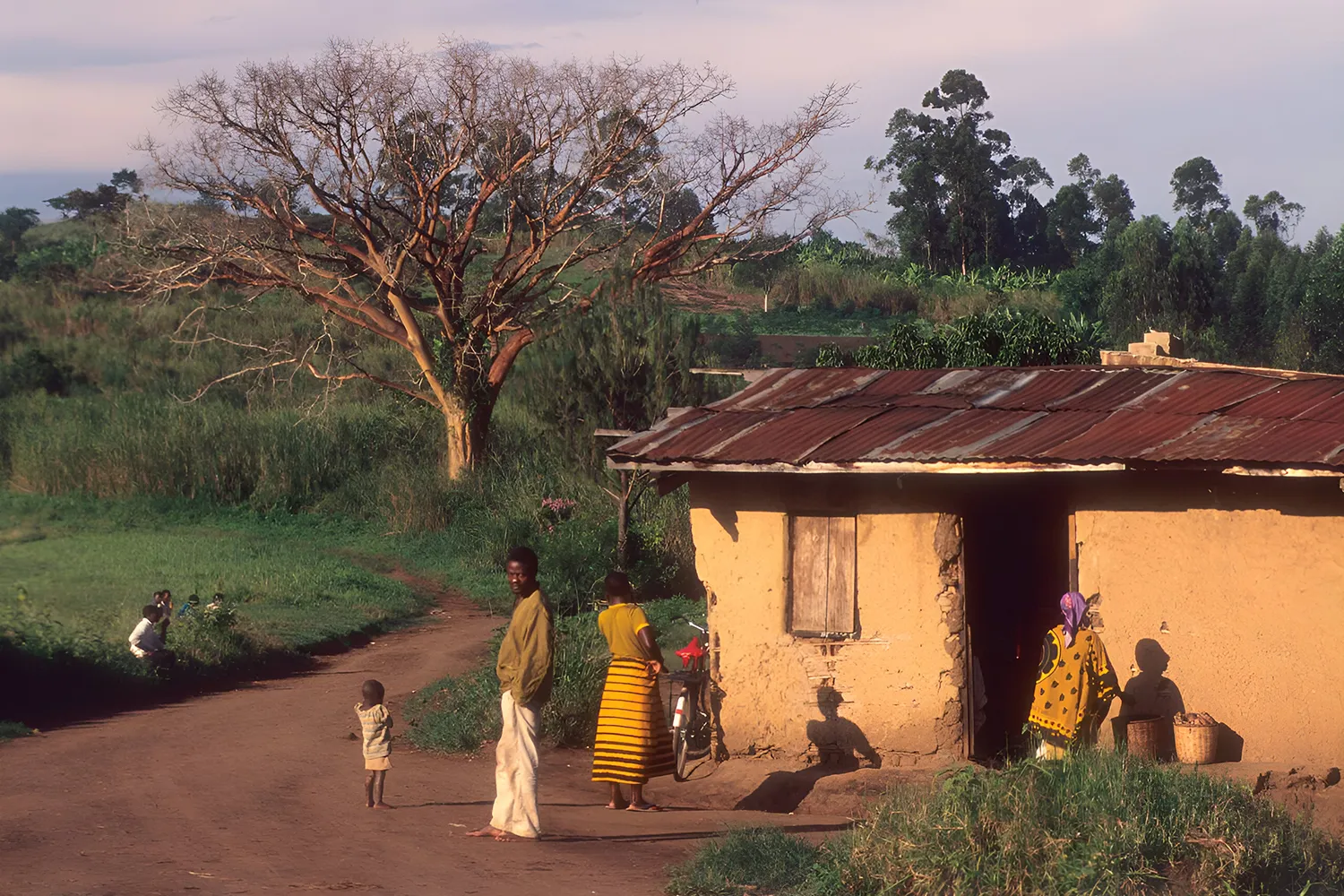 community walk in bigodi sanctuary near kibale forest