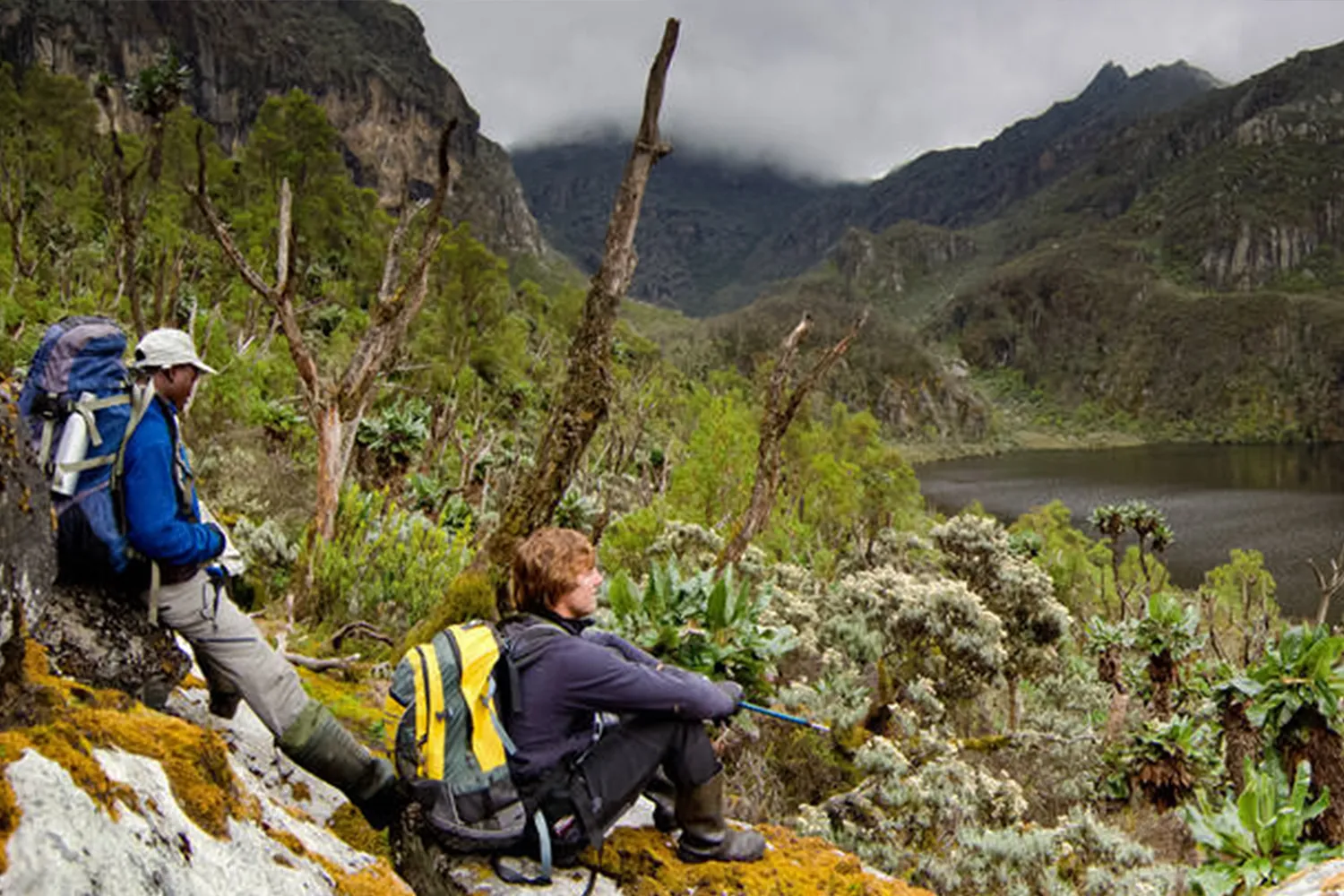 Hiking in Rwenzori mountains